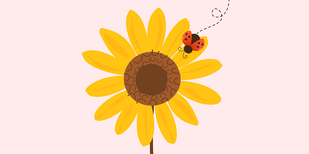 Illustration av solros och nyckelpiga.