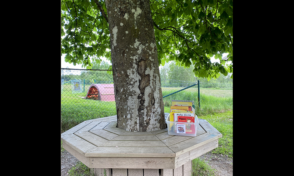Bild som visar en bänk runt ett träd med böcker.