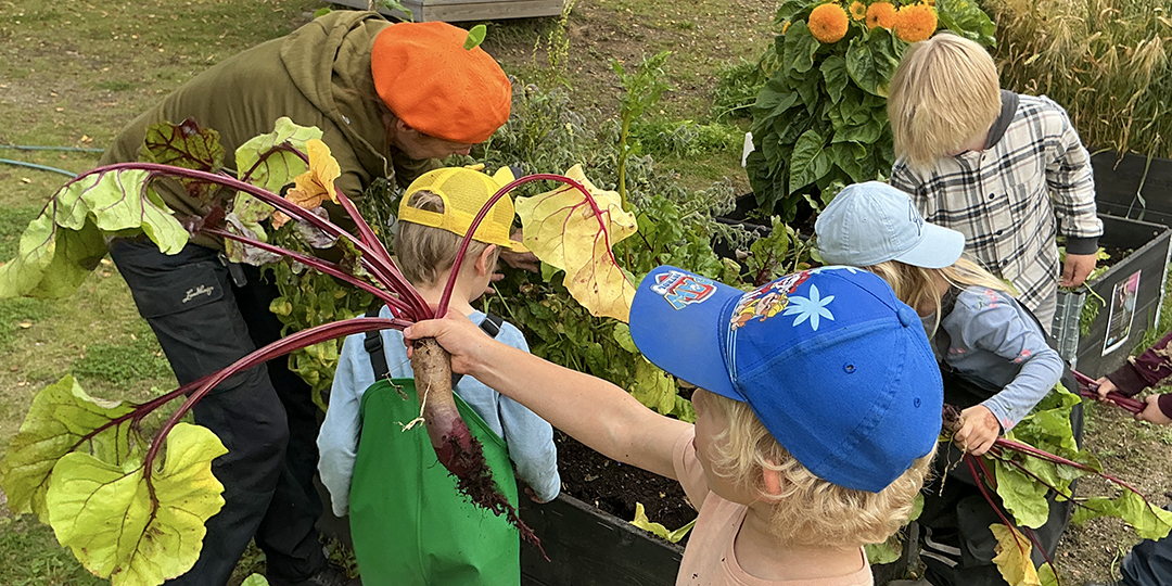 Fyra barn skördar rotsaker tillsammans med en vuxen.