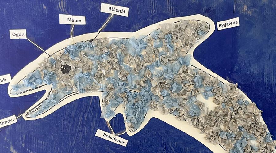 En bild på en målad delfin med djurets delar utsatta.