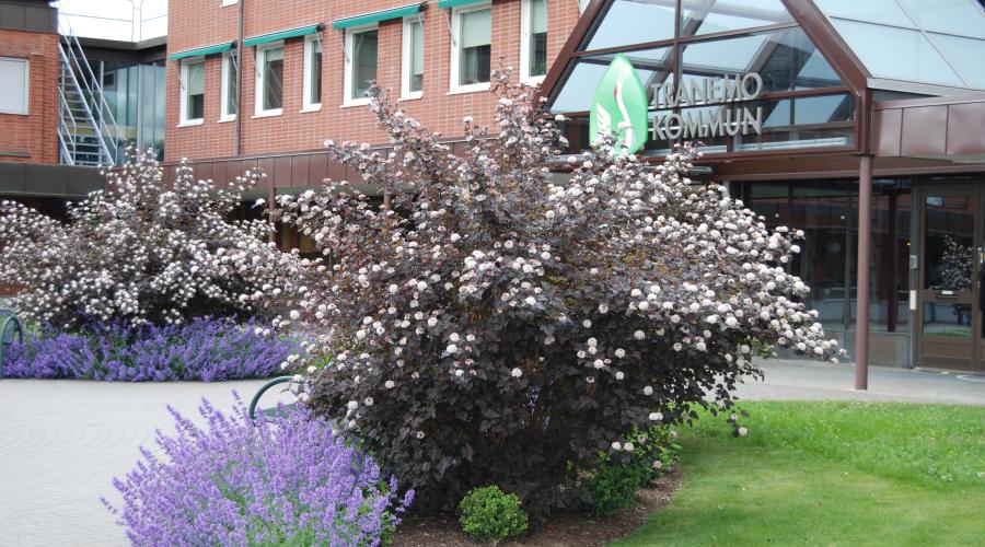 Bild på kommunkontoret i Tranemo.