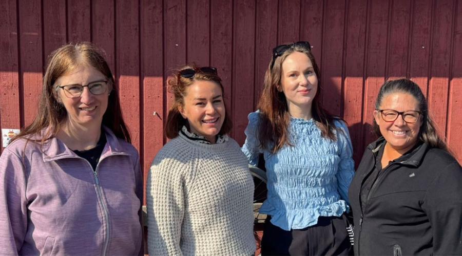 Bild på Pernilla Jansson, Caroline Svensson, Mikaela Jakobsson, Elisabet Borbély.