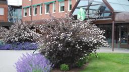 Bild på kommunkontoret i Tranemo.