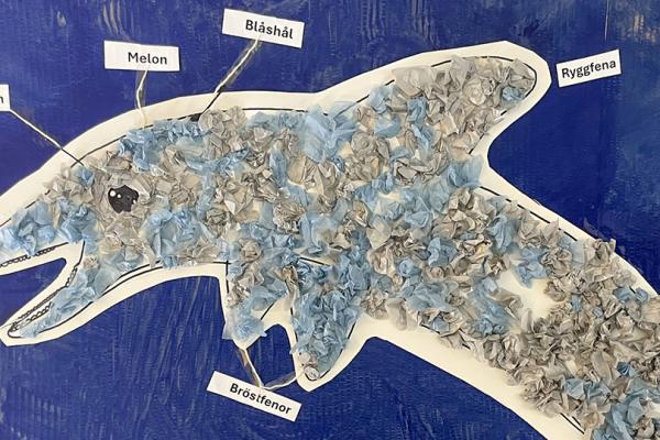 En bild på en målad delfin med djurets delar utsatta.