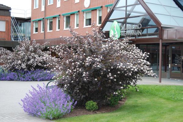 Bild på kommunkontoret i Tranemo.