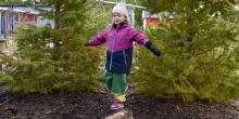 Flicka som balanserar på stock bland granar på förskolegård.