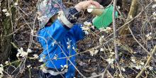 Förskolebarn experimenterar i trädgrenar