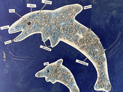 Målad bild på delfin med text som beskriver djurets olika delar.