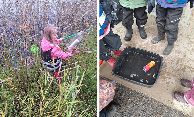 Till vänster: Flicka plockar gräs i strandkanten i vassen. Till höger: barn tittar ner i en balja med en tomburk.