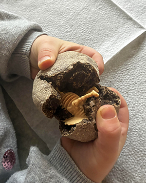 Ett barn delar ett dinosaurieägg gjort av kaffesump och hittar en liten plastdinosaurie.
